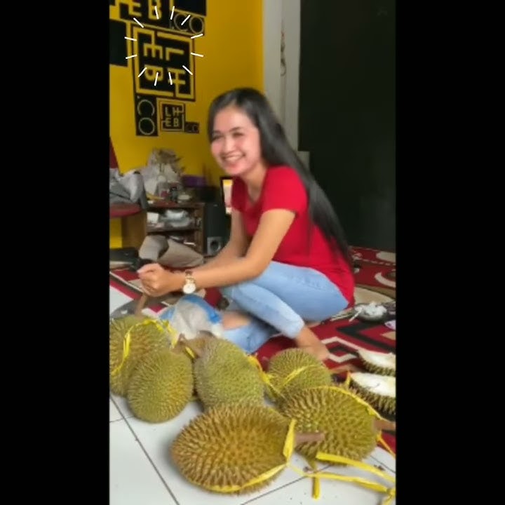 STORY WA Cewek cantik ( penjual durian )