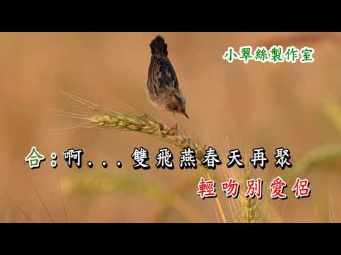 離別的叮嚀(譚炳文,鳴茜)卡拉OK純音樂