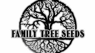 Interview: Family Tree Seeds. (Feb 24th 2023) 1st Gunja Show Interview