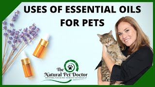 Common Uses of Essential Oils in Dogs and Cats with Dr. Katie Woodley The Natural Pet Doctor