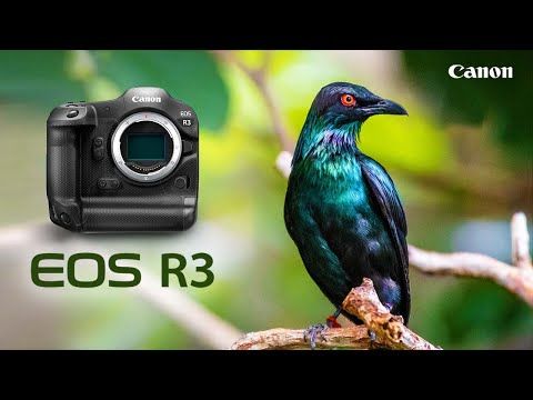 Canon EOS R3