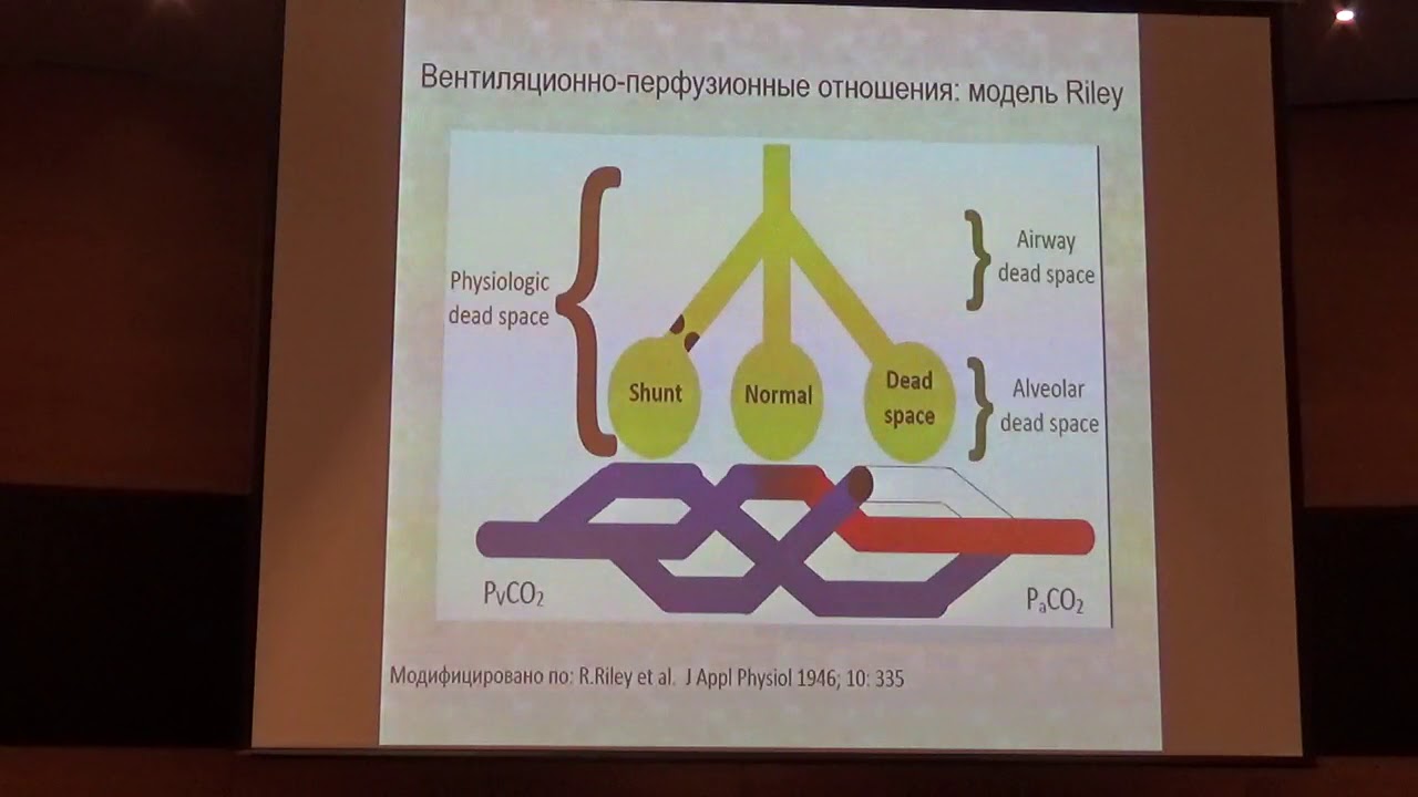 Волюметрическая капнометрия Сатишур О.Е. - YouTube