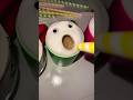 Coffee Cups Yelling SUIIIIII!!! #meme #funny ☕️