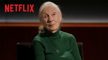Dr. Jane Goodall’s Final Message To The World | Famous Last Words | Netflix