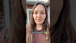 Frog update 7/14 🐸 Check out their new home. ❤️ #frogs #habitat #rehoming