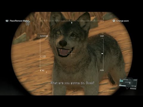 Mgsv Tpp D Dogとの出会い イベントまとめ Youtube