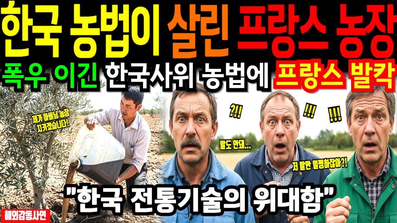 [해외감동사연] 한국인 사위가 살린 장인어른의 프랑스 농장, 끝난 땅 부활시킨 한국 농법에 마을 전체가 무릎 꿇은 이유