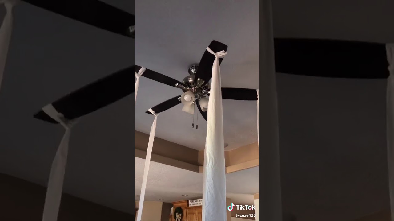 Toilet Paper On Fan Tik Tok Youtube