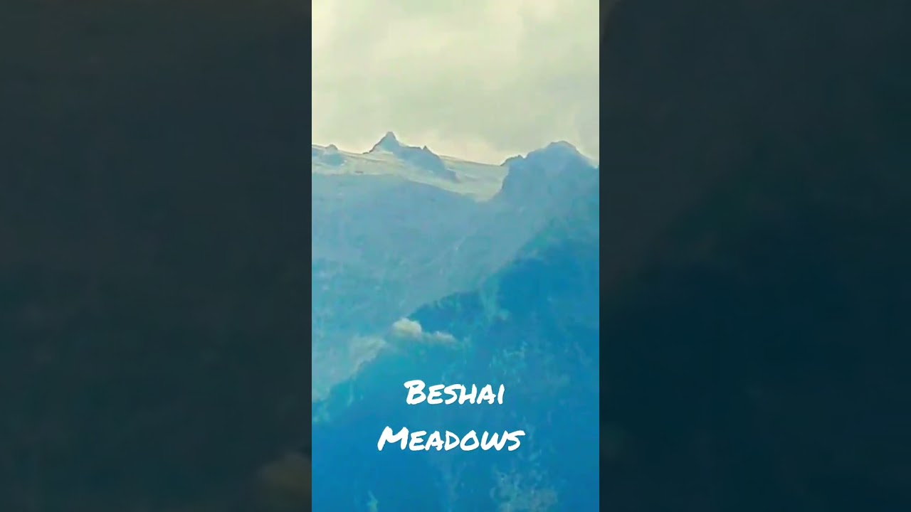 Beshai Meadows