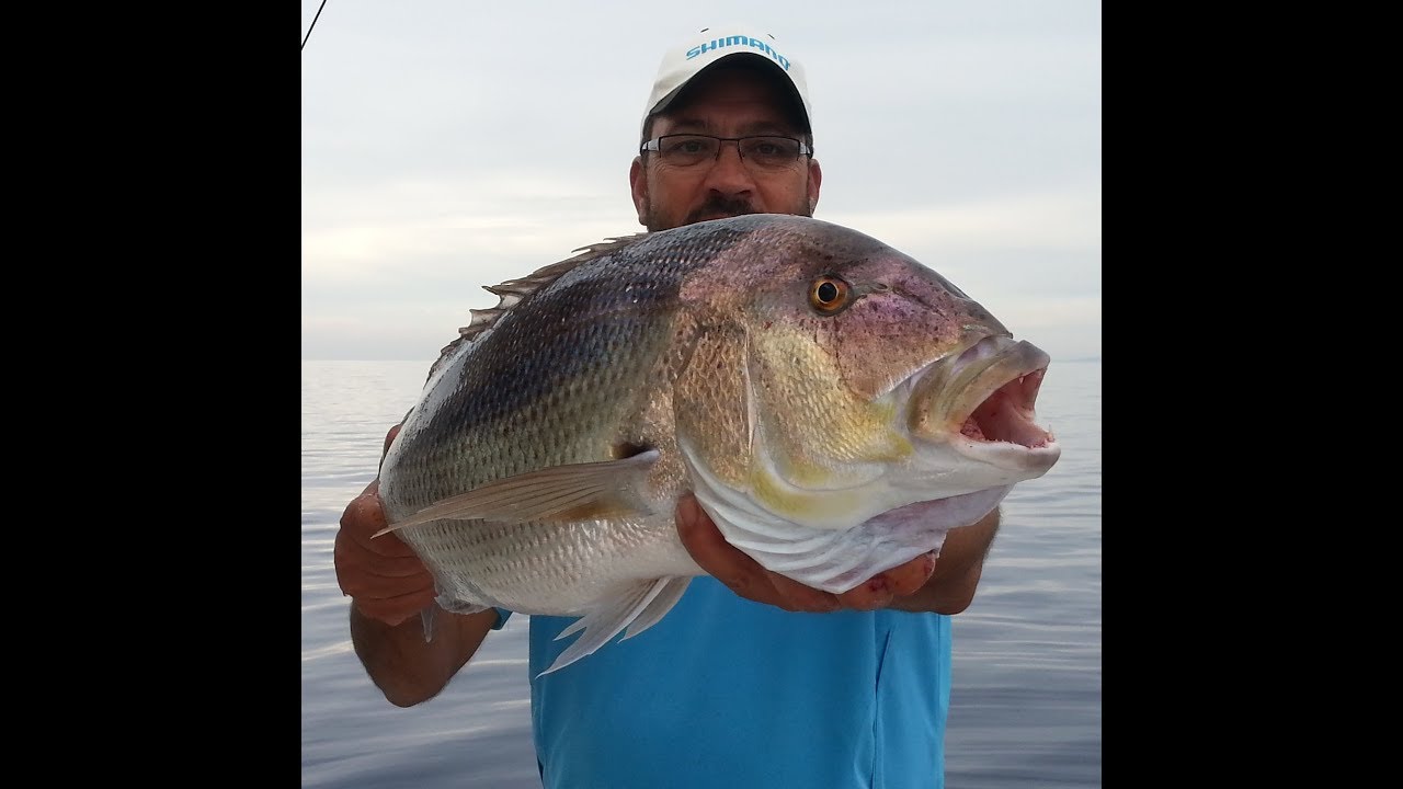 Sea Fishing in Cambrils - Fishing Charter Cambrils
