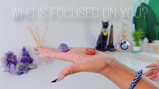 WHO IS FOCUSED ON / STALKING YOU? - PICK A CARD Reading