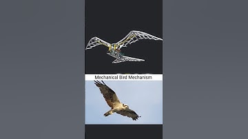 Mechanical Bird Design Inspire by eagle flying patterns #3ddesign #birds #fliying #solidworks #cad