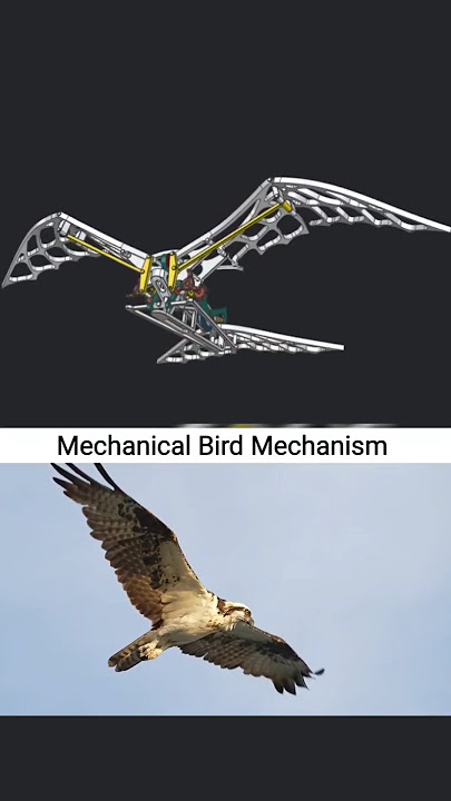Mechanical Bird Design Inspire by eagle flying patterns #3ddesign #birds #fliying #solidworks #cad