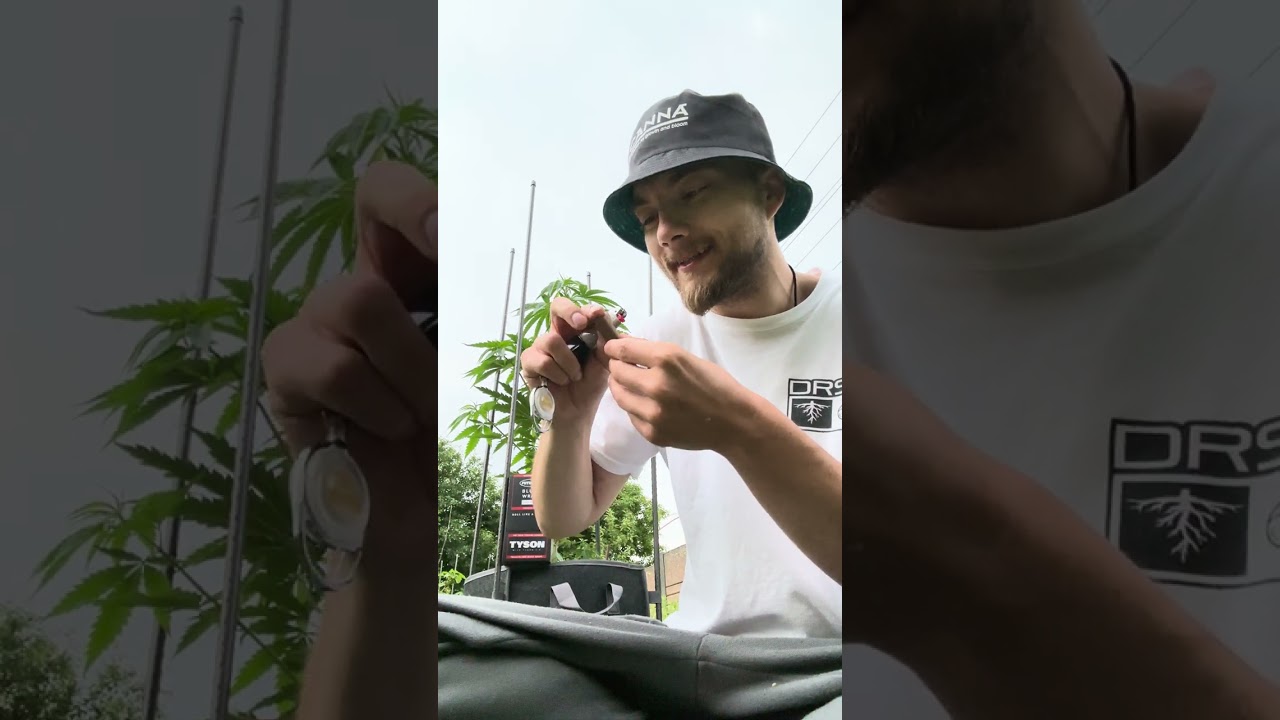 Futurola Blunt Wraps (Tobacco Free) x Tyson 2.0 REVIEW🌱Terpene Infused🐸