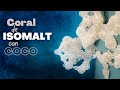Coral de isomalt con coco rayado