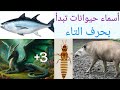أسماء حيوانات تبدأ بحرف التاء