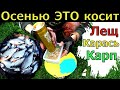 Лови с Сентября по Холодной Воде и Осенью Карася Карпа Леща. На что ловить рыбу Осенью. Насадка.