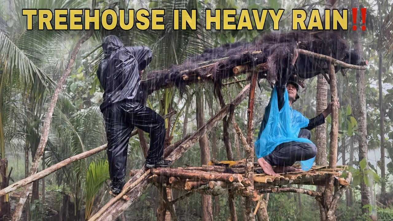 Father & Son Camping in Non-Stop Heavy Rain | Build a Treehouse in Heavy Rain‼️