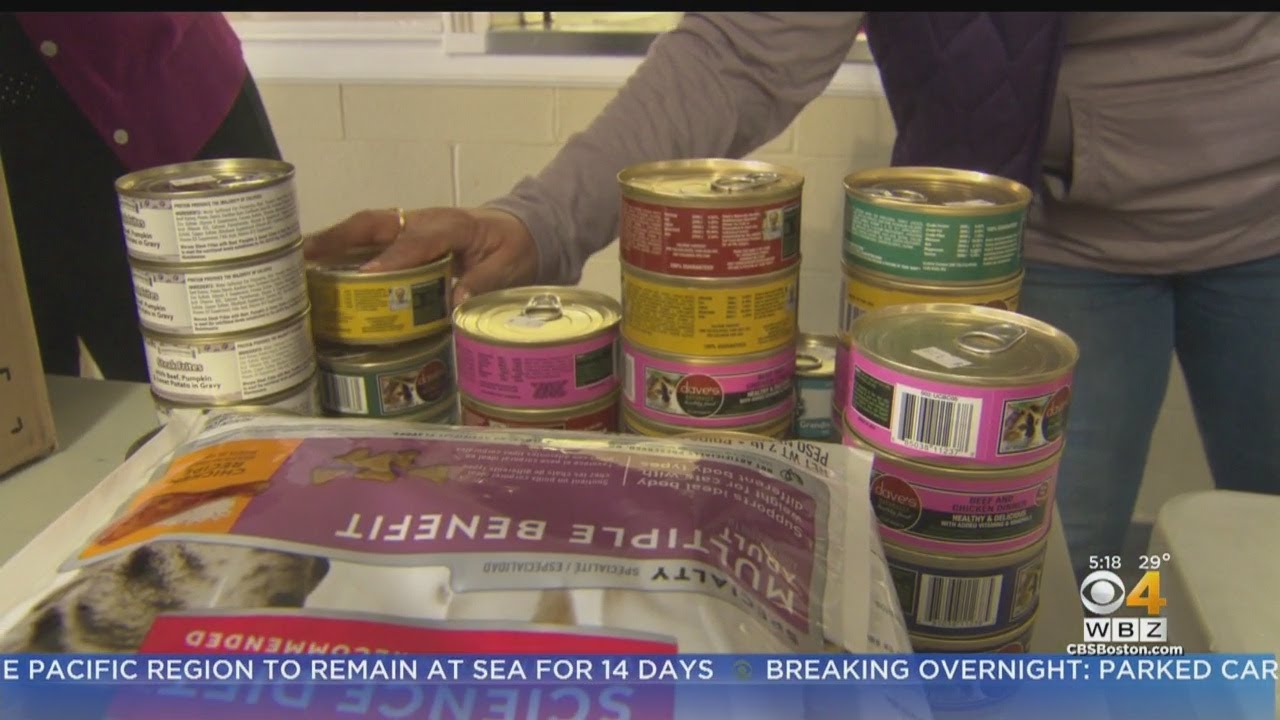 It Happens Here Quincy Pet Food Pantry Helps Keep Pets In The Home