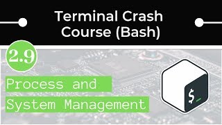 Process and System Management on Linux and Mac (Bash)