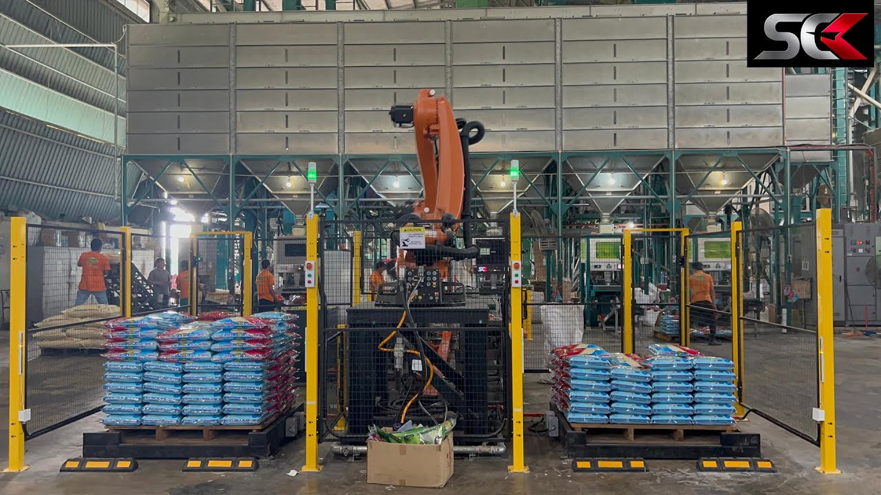 Auto Packing & Robot Palletizing - YouTube