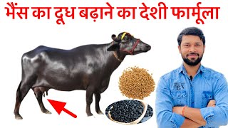 भैंस का दूध बढ़ाने का देशी फार्मूला।murrah buffalo milking | भैंस का दूध कैसे बढ़ाएं