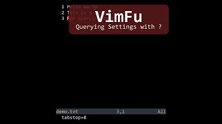 VimFu — Querying Settings with ?