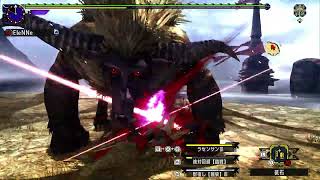 MHXX/NS2] Piercing the Heavens, Where Do I Go? Striker Dual Blades