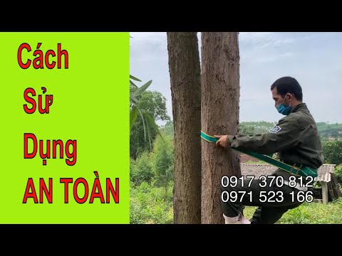 Video Hướng dẫn . Cách sử dụng guốc trèo cây 2 đinh - dụng... - youtube