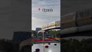 The best view 🚝 🌷 #waltdisneyworld #epcot #disney #monorail