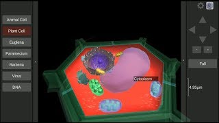 3D Virtual Cell for mobile devices screenshot 1