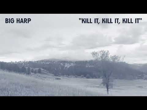 Big Harp - Kill It, Kill It, Kill It [Official Audio]