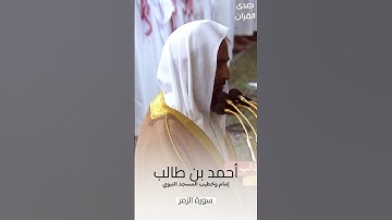 #تلاوة_رائعة للشيخ #أحمد_بن_طالب ما تيسر من #سورة_الزمر من #المسجد_النبوي #رمضان ١٤٤٥ هـ#صدى_القرآن