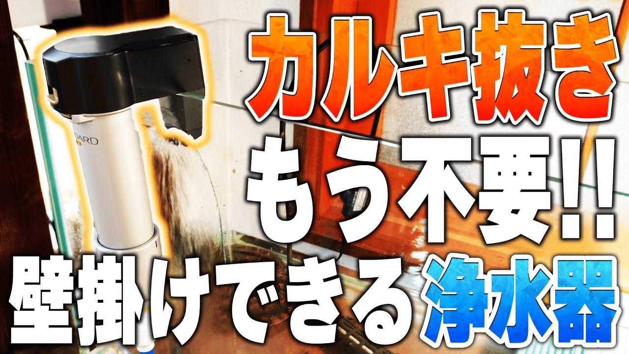 【進化？】水槽にかけられるマーフィード！カルキ抜き無しで水換え！【亀飼育】