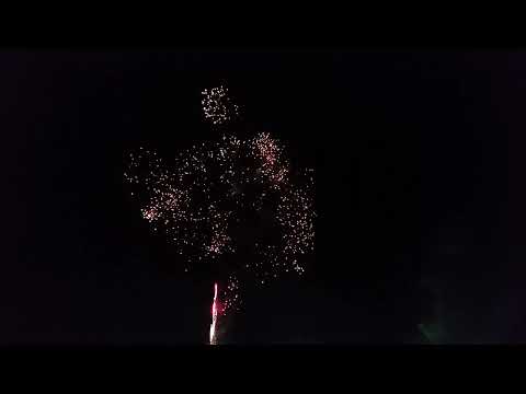 Forestland 2014. (2014.08.09)