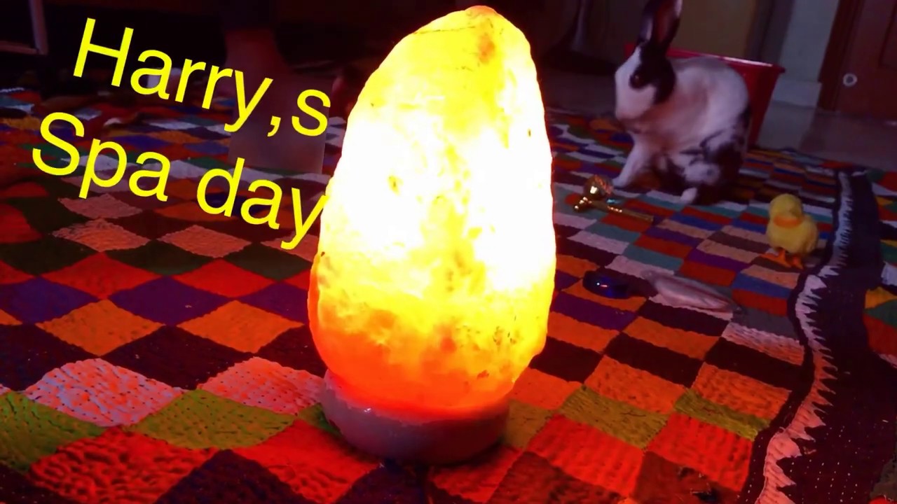 Rabbit’s luxurious spa day