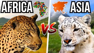 5 Asian Animals VS 5 African Animals  Who Will Win?