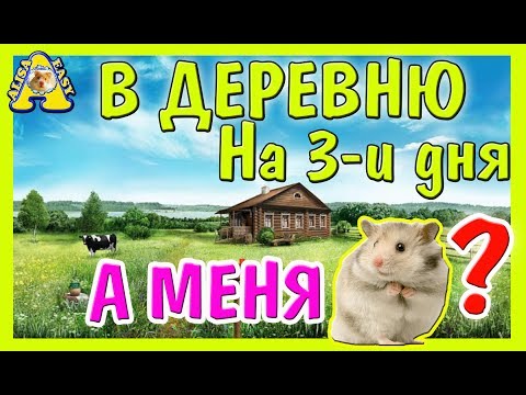 Хомки Хомки