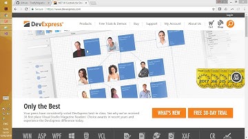Integrating DevExpress PivotGrid with Migrated Application