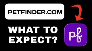 Petfinder.com Explained - What to Expect