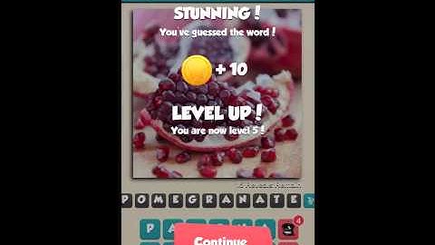 Pic What?! Level 21-30 Answers