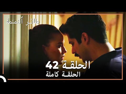  طائر النمنمة الحلقة