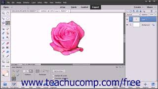 Photoshop Elements 2018 Tutorial Defringing Layers Adobe Training