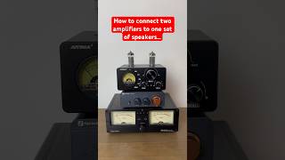 How to connect two amps to one set of speakers!          #audio #audioequipment #amplifier #speakers