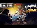 ايام مضت كهف حشد الزومبي تجهيز الطيارة لخطة الهروب 26 Days Gone 