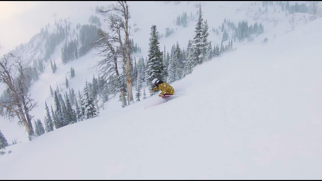 Powder Skiing with Hadley Hammer