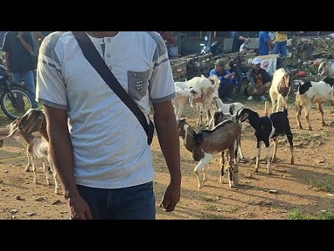 ผลสลากกินแบ่งรัฐบาล วันที่ 1 พย. 2567