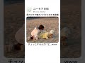 見ただけで娘のパパだと分かる動画