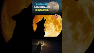 Rare sight, a miraculous phenomenon is going to happen in the sky tomorrow #wolfmoon #phenomenon #astronomy