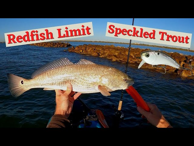 Jetty Fishing A Limit Of Redfish And Speckled Trout Kayak Fishing 